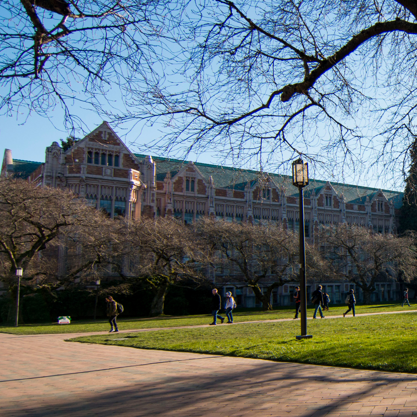 Master's of Information Management students walking on University of Washington campus